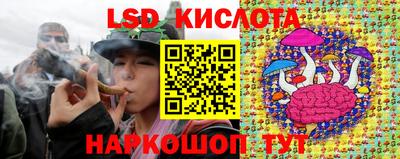 твердый Майкоп