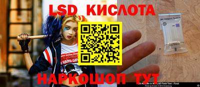 твердый Майкоп
