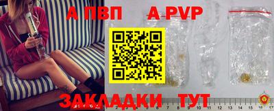 твердый Майкоп
