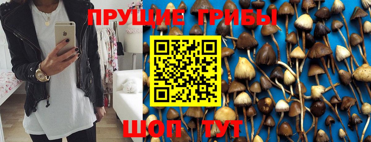 Галлюциногенные грибы Psilocybe  Вход с VPN  Губаха  Галлюциногенные грибы прущие грибы 